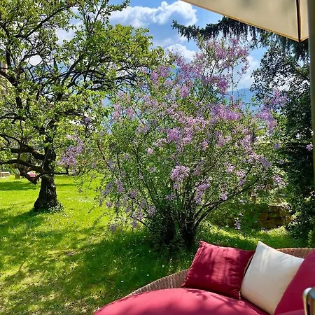 Aparthotel Gartenresidence Zea Curtis 3*