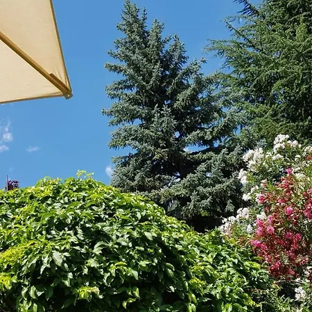 Gartenresidence Zea Curtis Aparthotel 3*